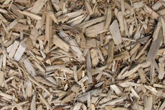 biomass boilers Lyford